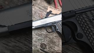 Easy to look at, easy to carry,  and easy to shoot. Ruger lightweight Commander size 1911 in 9mm