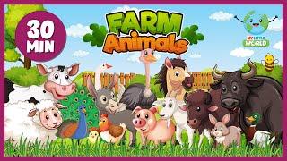 Farm Animals - My Little World