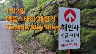 해인사 템플스테이 | Temple Stay in Haeinsa, Korea