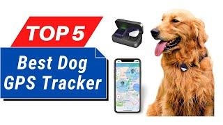 TOP 5 Best Dog GPS Tracker in 2025