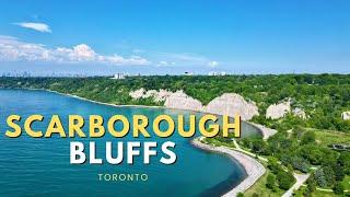 SCARBOROUGH BLUFFS | Bluffer's Park | TORONTO | 2024