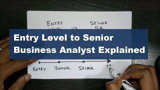 Business Analyst Levels Explained From Entry Level to Senior Business Analyst and Beyond