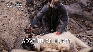 Argentina stag and B.C. Mt. Goat with Joe Miles