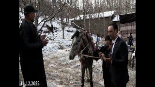 Shahrisabz Sayoddan Asil Palvondi To'yi 11.12.2022 Ko'pkari Boshlandi #horse #alochi #kopkari