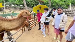 GoZoo farm