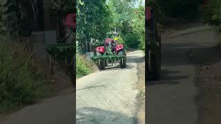 Kerala village life #nature #keralatravels #keralatravels #travel #keralavillagelife