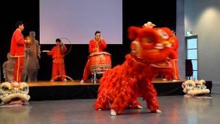 Chinese Lion Dance