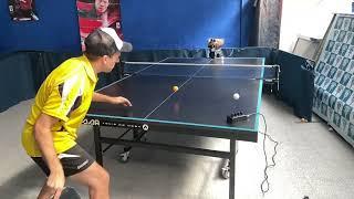 Mi robot de Pingpong | Robot Table tennis HP -07 | #tenisdemesa #pingpong #탁구