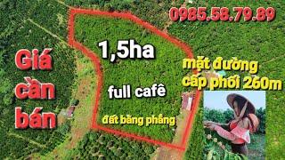 đất vườn cà phê tại quảng khê huyện đăk glong