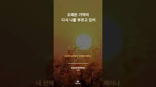 [Wavbor X 웨이버픽 플리] / #playlist #플레이리스트 #플리 #artist #라윤