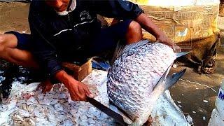 Cutting fish at a Bengali wedding in West Bengal, India