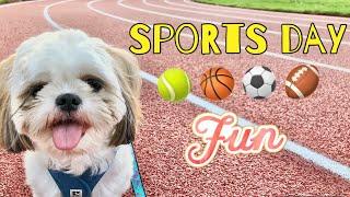 Sports Day with Chase the Shih Tzu | Summer Activities