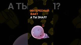 Интересные факты о еде! А ты знал? #тайны #факты #загадки #открытия #интересности #курьезы #история