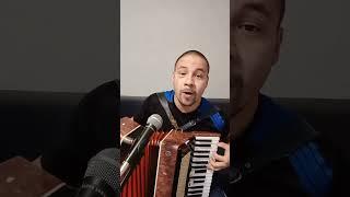 "Под окном широким" #accordion #music #автор #баян #слушать #аккордеонист #гармония #песня