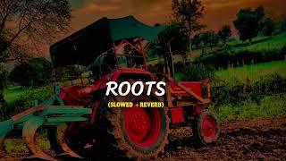 Roots (Slowed +Reverb) Lofi -Bintu Pabra #haryanvi