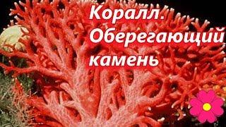 Коралл.  Оберегающий камень