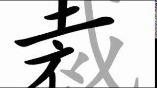 how to write chinese 裁丨Chinese stroke order中文汉字笔顺动画