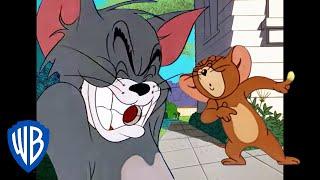 Tom y Jerry en Latino | ¡Ay, eso tuvo que haber dolido!  | WB Kids