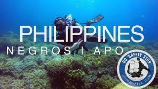 Scuba Diving. Philippines. Negros. Island Apo | Дайвинг на Филиппинах, Апо.