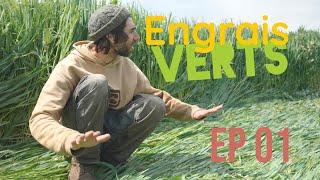 Engrais verts - Ep 01