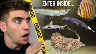 Inside Colombia's *LARGEST* Aquarium Store!! (Tour)