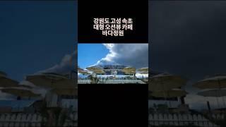 #바다정원 #강원도고성여행 #속초카페 #오션뷰카페 #고성카페추천 #바다정원속초 #바다정원카페 #cafe #koreantrip #travel #바다여행 #속초가볼만한곳 #바다뷰카페