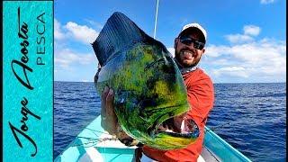 Mi primer Dorado!! - Pesca al troleo en el Mar de Cortez