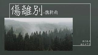 傷離別 - 魏新雨 (yuyu)『你離開以後天空飄起了大雪 我等你年年花開花謝』【動態歌詞】