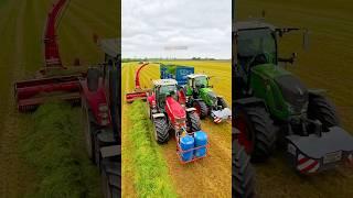 Trailed forage harvester in the field chopping grass to make silage for cattle