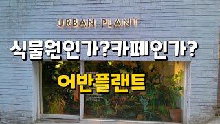 #48어반플랜트.식물카페.인생샷 찍기 좋은곳.카페투어URBAN PLANT Cafe Tour