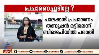 'പാലക്കാട് ബിജെപി പ്രചാരണത്തിന് വേണ്ടത്ര പോസ്റ്റർ പോലുമില്ല'