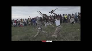 Zulu Warrior - Khwishi vs Mondli( South Africa )