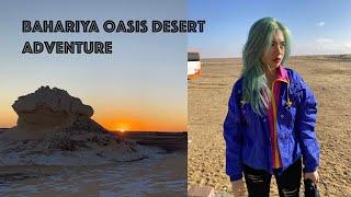 Bahariya Oasis Desert Camping Vlog - Egypt Trip