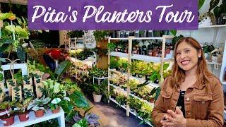 I Toured Pita's Planters and Found the DREAMIEST Houseplants!