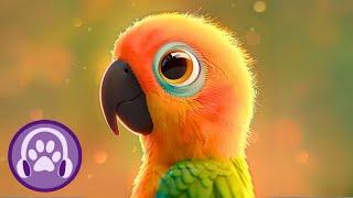 Magic Music for Parrots - Instantly Calm and Relax Your Parrot! ️