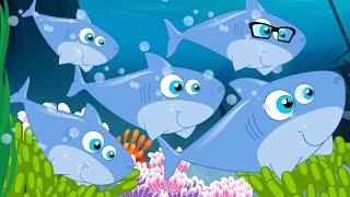 Five Little Sharks | The Shark Song | Flying Shark | Nursery Rhymes Songs | Kids Tv Nursery Rhymes