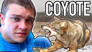 I TRAPPED A COYOTE!