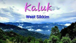 Kaluk || Kaluk West Sikkim Tour || Mandarin Village Resort #travelvlog #Satkahan