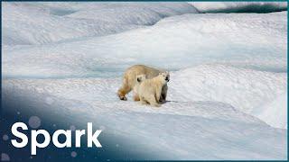 Understanding The Science Of Climate Change | Earth's Survival | Spark