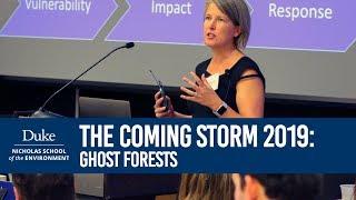 The Coming Storm 2019: Ghost Forests