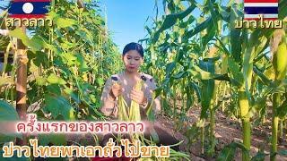 ครั้งแรกของสาวลาว บ่าวไทยพาเอาถั่วไปขายครั้งแรกตื่นเต้นมากๆ