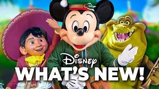 Top 10 NEW Disney Rides, Updates & Changes at the Disney Theme Parks- November 2024!