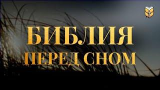 Библия перед сном. Современный перевод Библии #biblevision