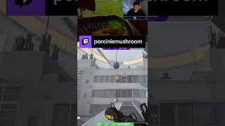 Gotcha! | DOG CAM! | porcinismushroom on #Twitch