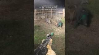 SQUAD WIPE.  Like shooting fish in a barrel.  #feralhogs #wildboar #hoghunt #extream #sidebyside