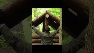 Building a log Cabin