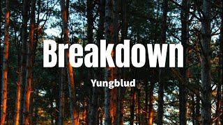 Breakdown - Yungblud (Lyrics)