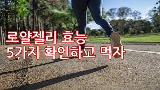 로얄젤리 효능 5가지 확인하고 먹자