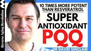 SUPER Antioxidant PQQ -10 TIMES More POTENT Than Resveratrol | Dr David Sinclair Interview Clips