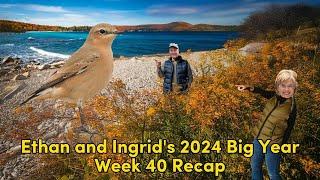 Ethan and Ingrid's 2024 Big Year (Week 40)